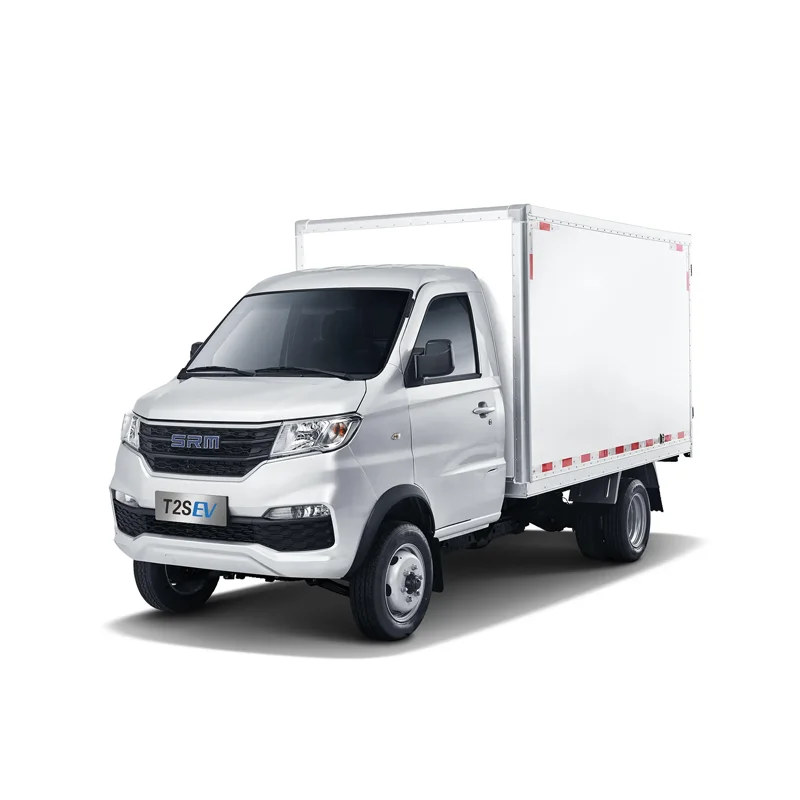 Shineray 1200cc двигателя со средним Размер затрудняетесь в выборе правильного размера? Транспортного средства 2 двери местный Ван SRM Xinyuan новой энергии T2S EV 2021 CangShan типа
