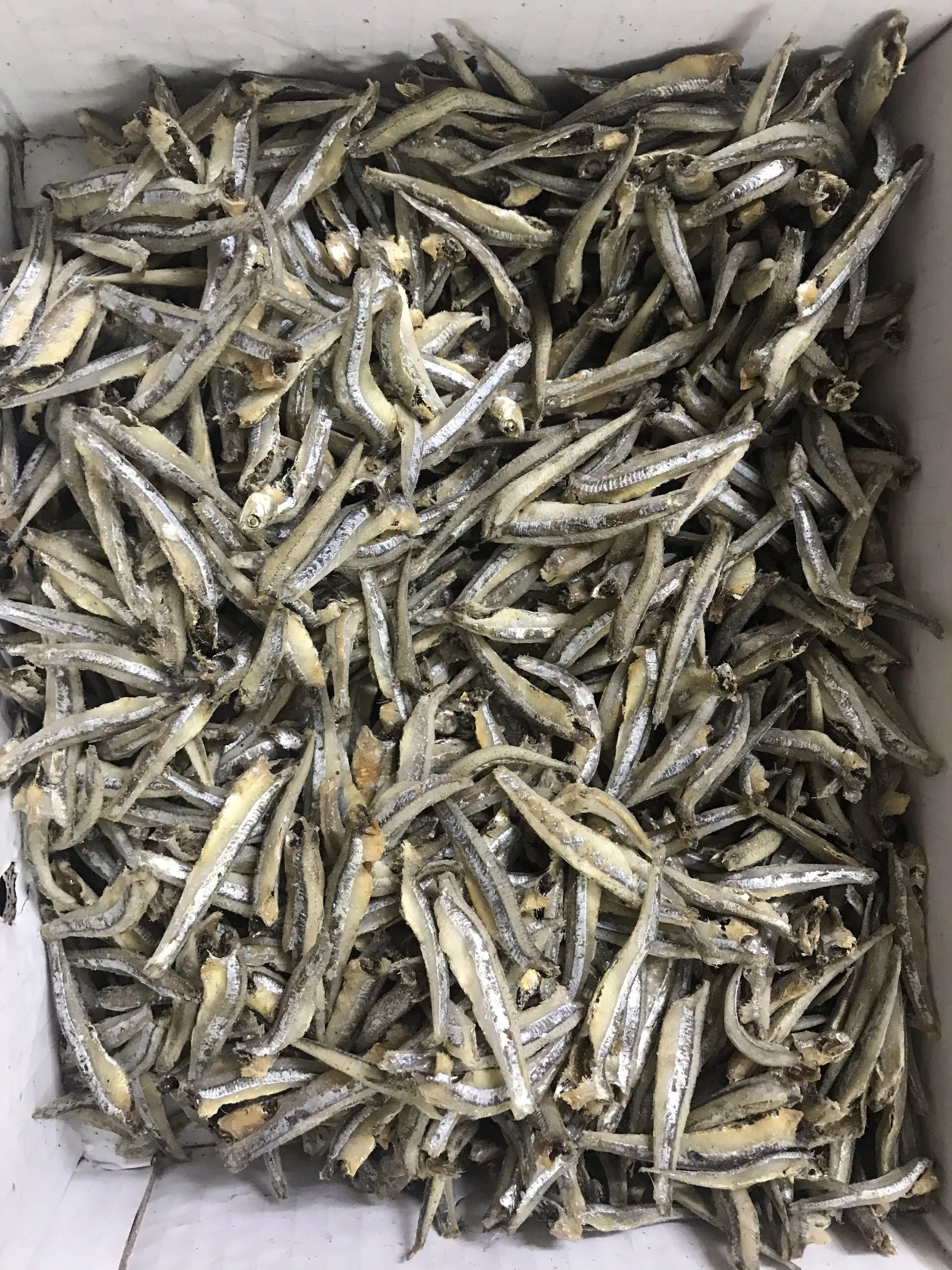 Viet Nam Price Anchovy Fish//Ms KIMMY +84 947032939