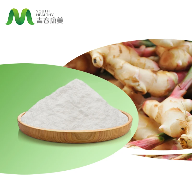 China Supplier Bulk Inulin Chicory Root Extract Powder