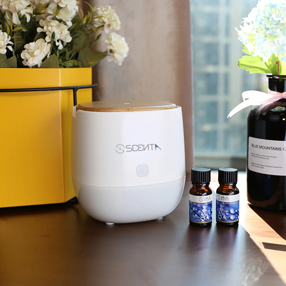 SCENTA Commercial Timer Setting Nano Mist Atomizer Smart Electric Small Aromatherapy Essential Oil Air Humidifier Aroma Diffuser