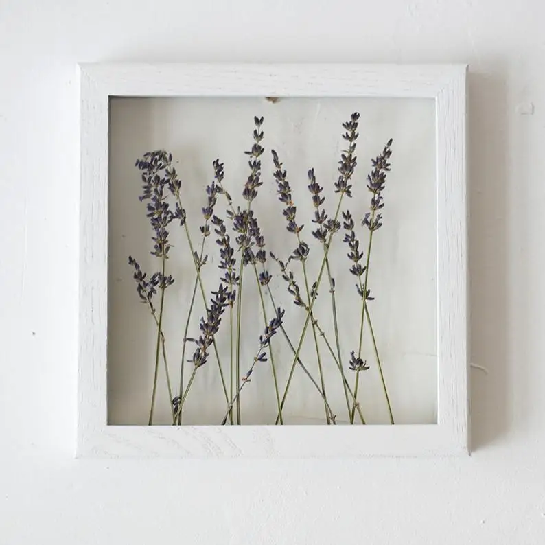 wholesale Hight quality  Frame plant flower creative acrylic wooden frame