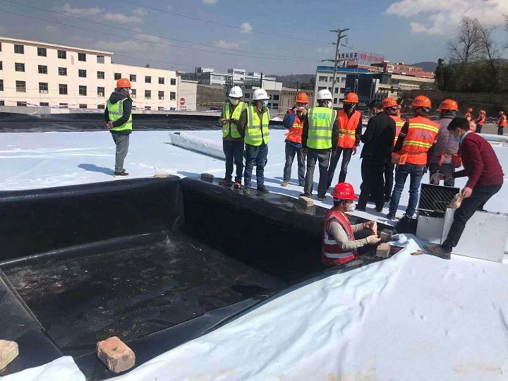 Corrosion Resistance Salt Film Filter Geomembrane Brine Pond