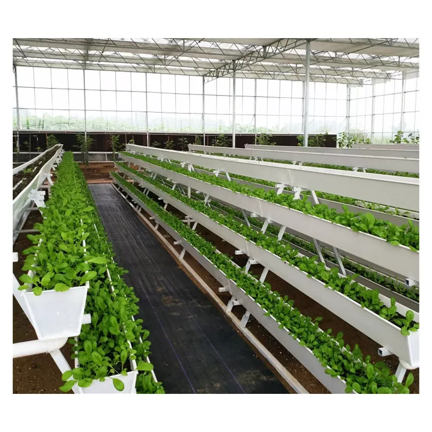 glass greenhouse hydroponics growing system hydroponic tower vertical