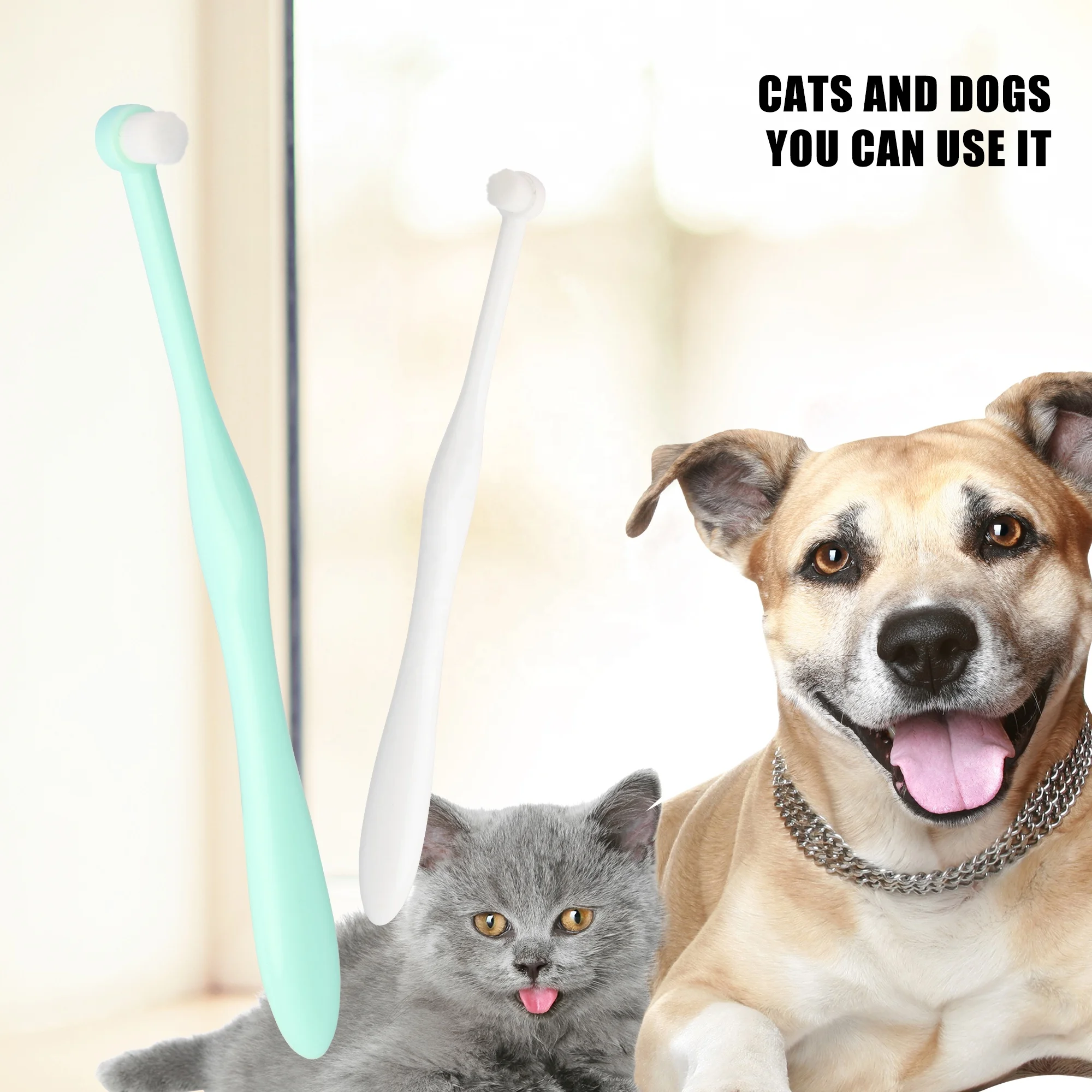 Factory Wholesale Pvc Box Packaging Pet Dental Care Cat Dog Toothbrush