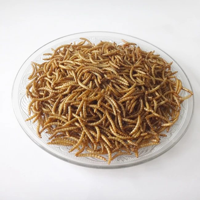 
Bulk Dried Mealworm Yellow Powder Insect Carp Fish Baby Bird Reptile Parrot Pet Poultry Food 10KG 