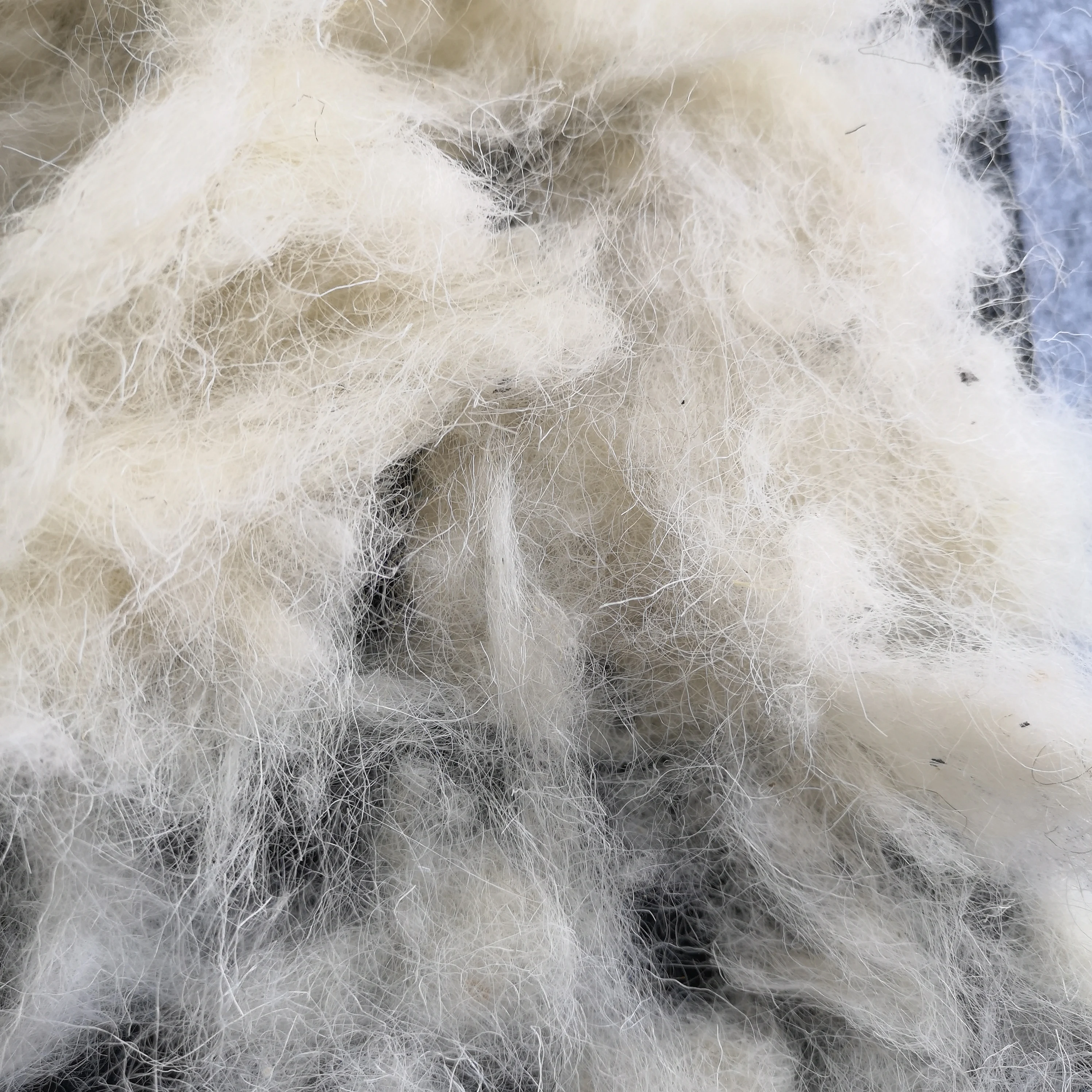 Кардовая шерсть валяние 25mic Шерстяное волокно белого цвета