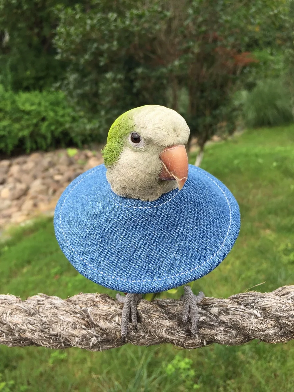Bird Collar Anti Bite Elizabethan Recovery Cone, Bird Neck Protector for Feather Plucking, Bird Neckwear Full Body Shield