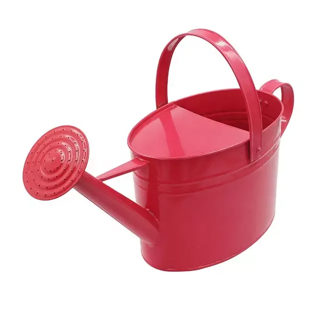 Wholesale oval shape galvanized watering can garden watering pot