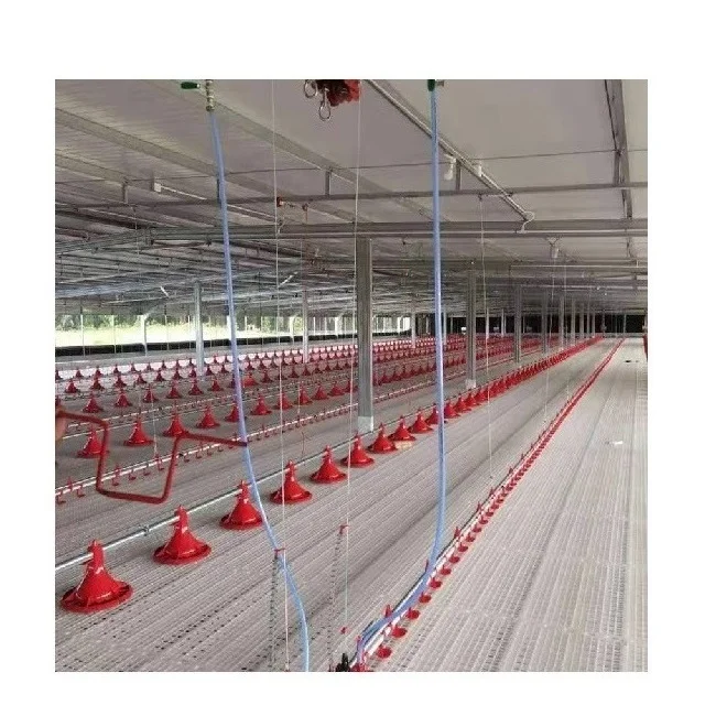 Factory direct sale poultry farming plastic floor mesh chicken slat floor mat for broiler chicken coop