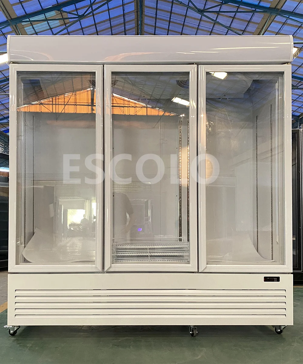 Ice And Seafood Display Freezer Refrigerator Deep Freezer