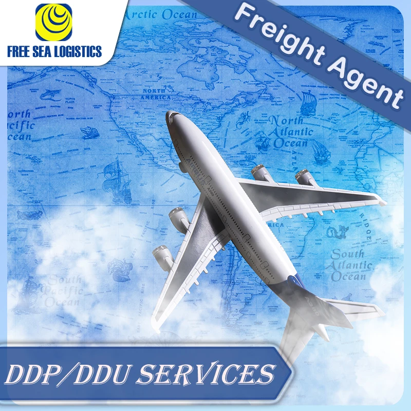 Professional and Fastest Shipping agent from China to Japan