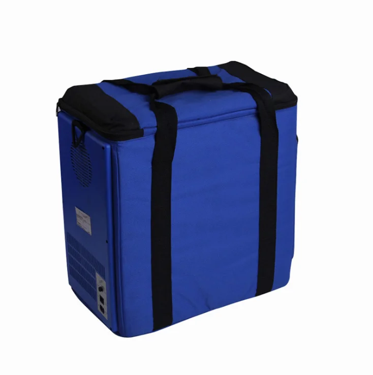 OEM professional China supplier  14L car mini foldable fridge freezer thermal travel 12V DC car cooler bag for picnic