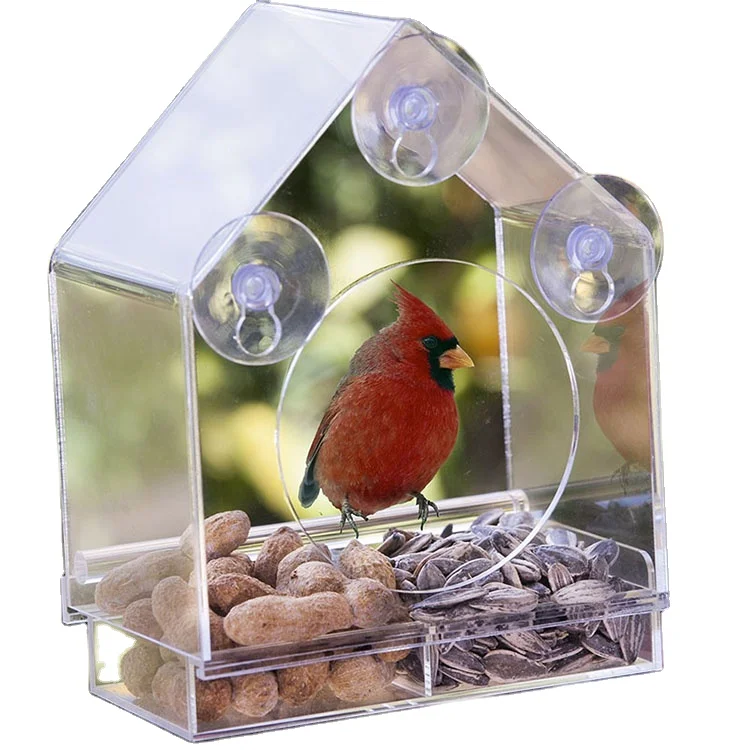 Removable Tray Transparent Acrylic Feeder For Bird Crystal Window Bird Feeder PMMA Clear Stay Strip