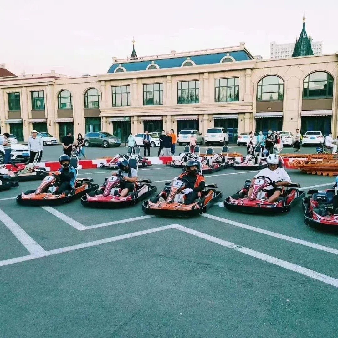  Новейший 200cc/270cc дешевый Взрослый гоночный карт для продажи со стальным защитным бампером сертификат