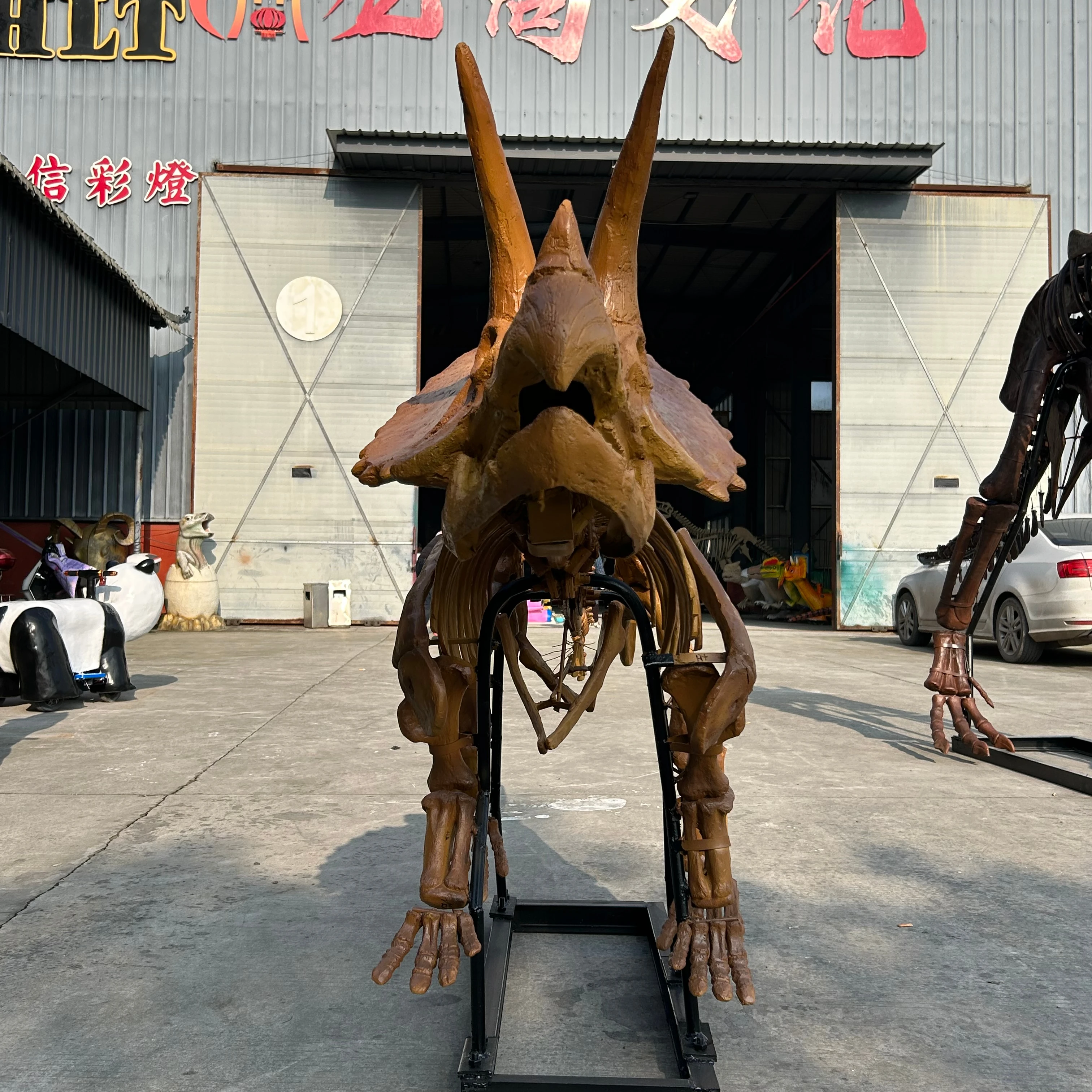 High Quality Custom Large Triceratops Resin Skeleton Model Museum Ornaments Teaching Props Indoor Garden Use Dinosaur Skeleton