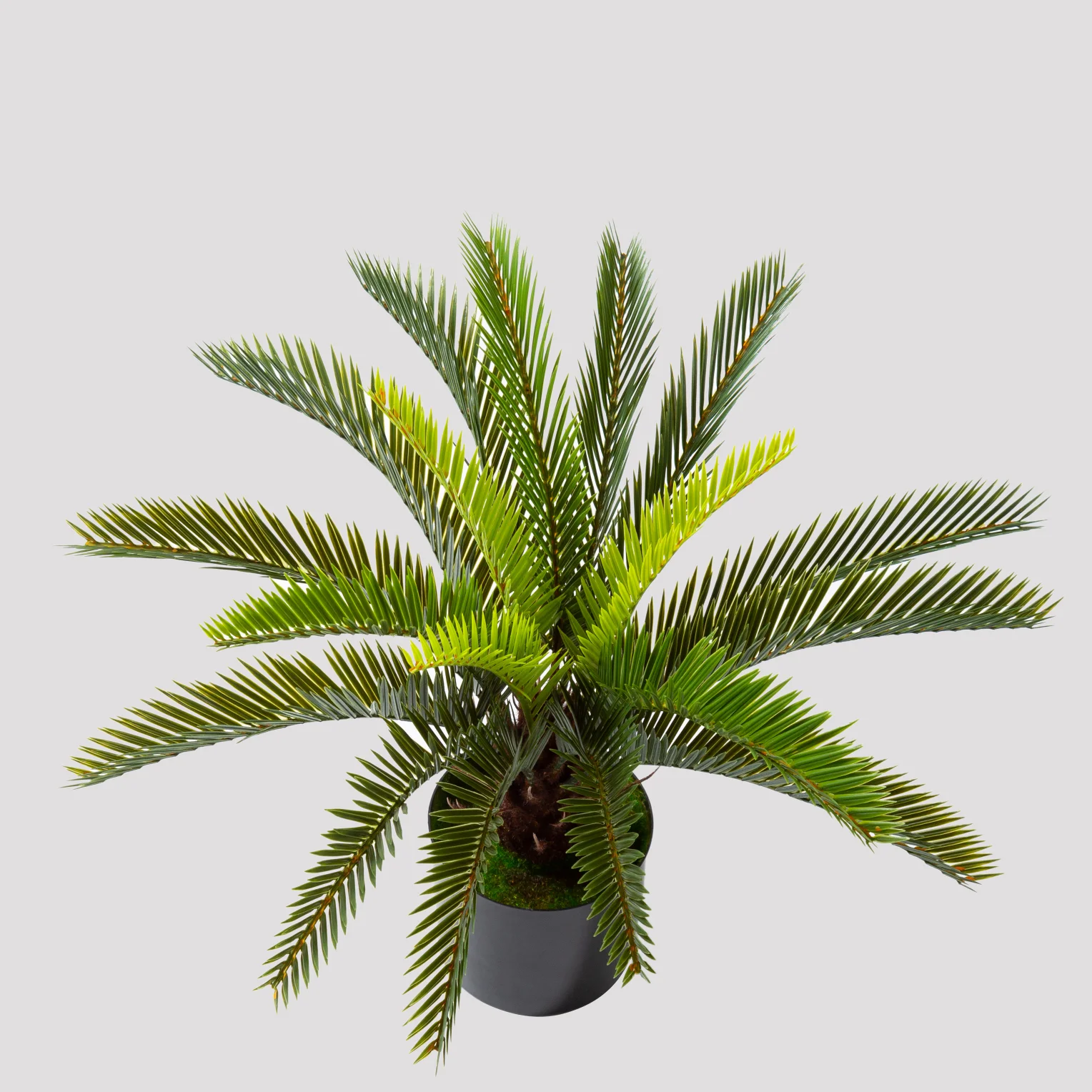 Outdoor Lifelike Artificial Pot Plants Cycas Revoluta Artificial Bonsai Tree Indoor Decorative