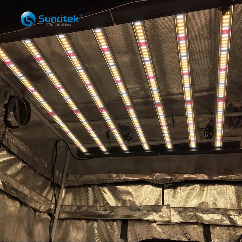 US Stock 4*4 720w led grow light europe grow lamps lm301h simulate sunset sunrise full spectrum led grow light for indoorplant