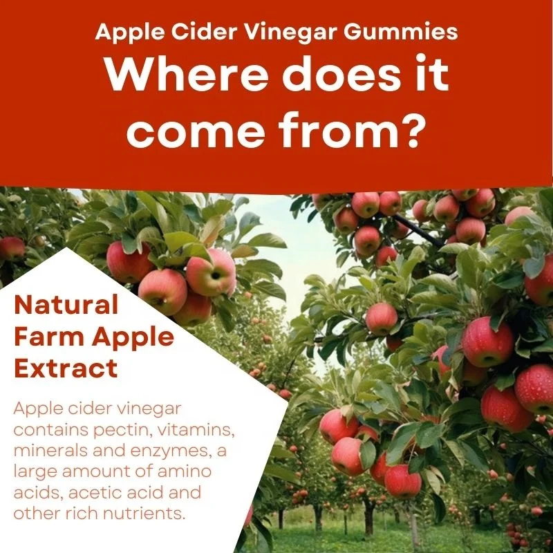Оптовая продажа индивидуальная Марка средство для похудения Кето BHB Gummies ACV Slim добавка яблочный уксус липкий 60 шт.