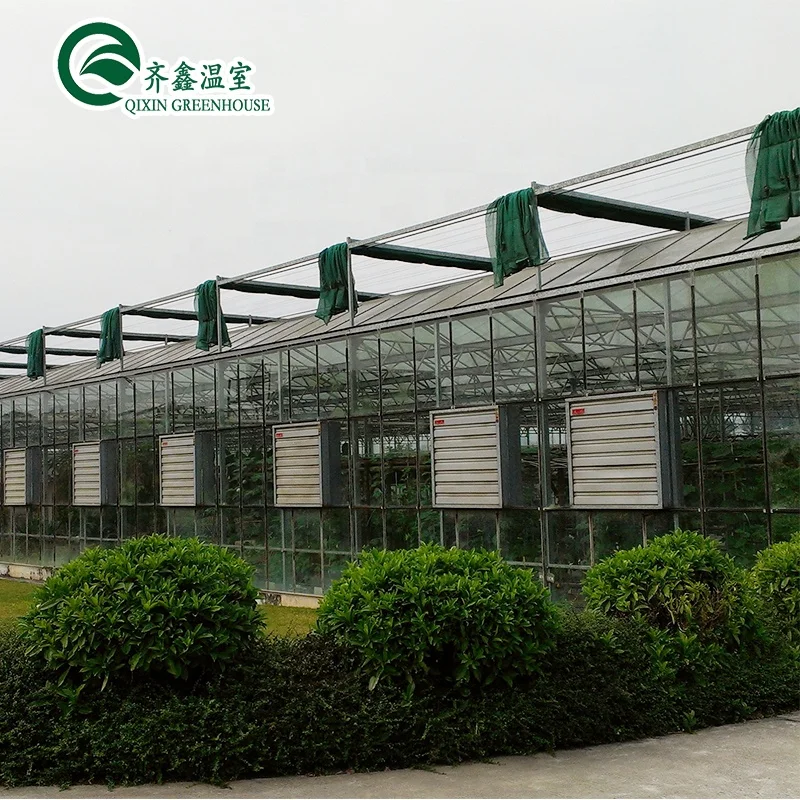 venlo pc  sheet Galvanized Steel Pipe Greenhouse with aeroponic system