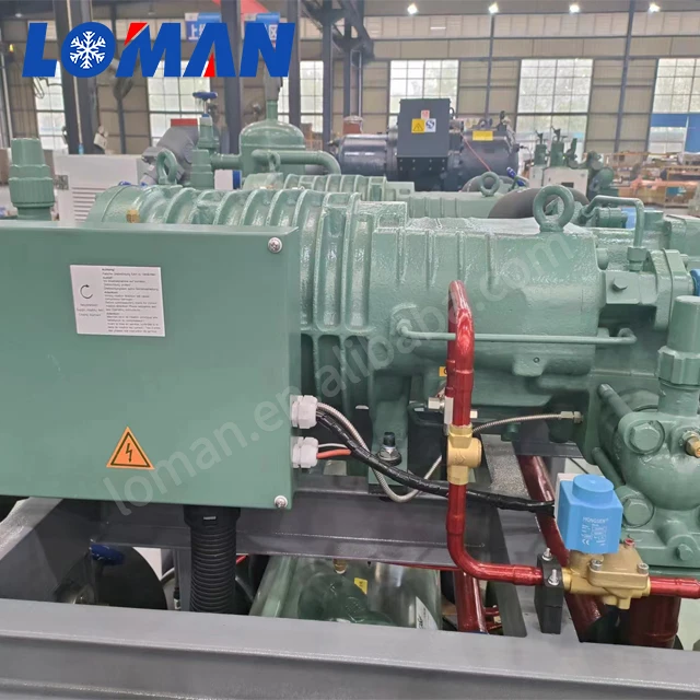 Germany Original semi hermetic refrigeration 75hp screw compressor Bit-zer HSN7471-75 china price