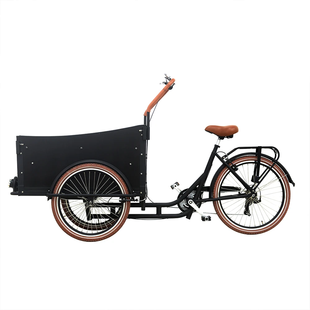 New style three wheeled cargo bikes 7 speed derailleur three wheeled ebike
