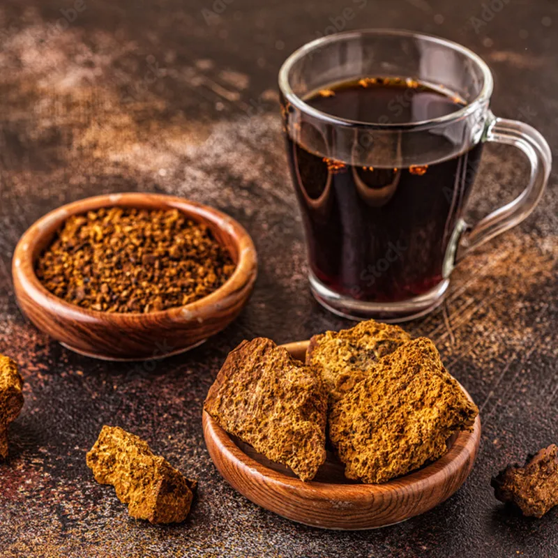 Hot sale EU/USDA certified organic chaga extract powder 30% polysaccharides fruit body