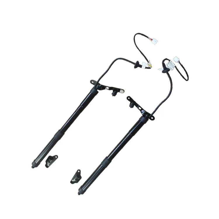 Auto Parts Power Liftgate Electric Tailgate Lift Strut Oem 6891009010 6892009010 For Toyota Rav-4 2013-2018