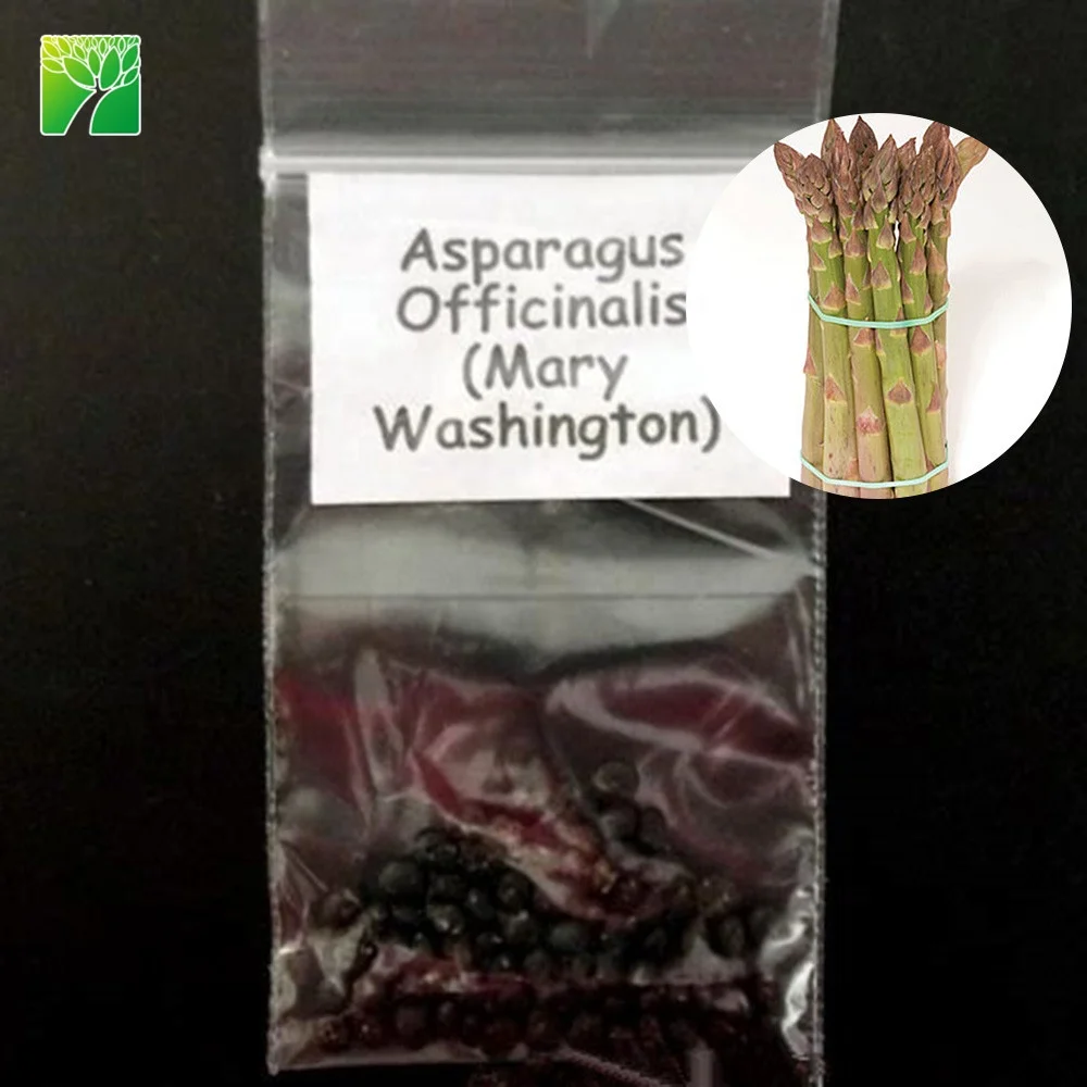
High germination direct sow method vegetable seeds asparagus officinalis asparagus seeds 