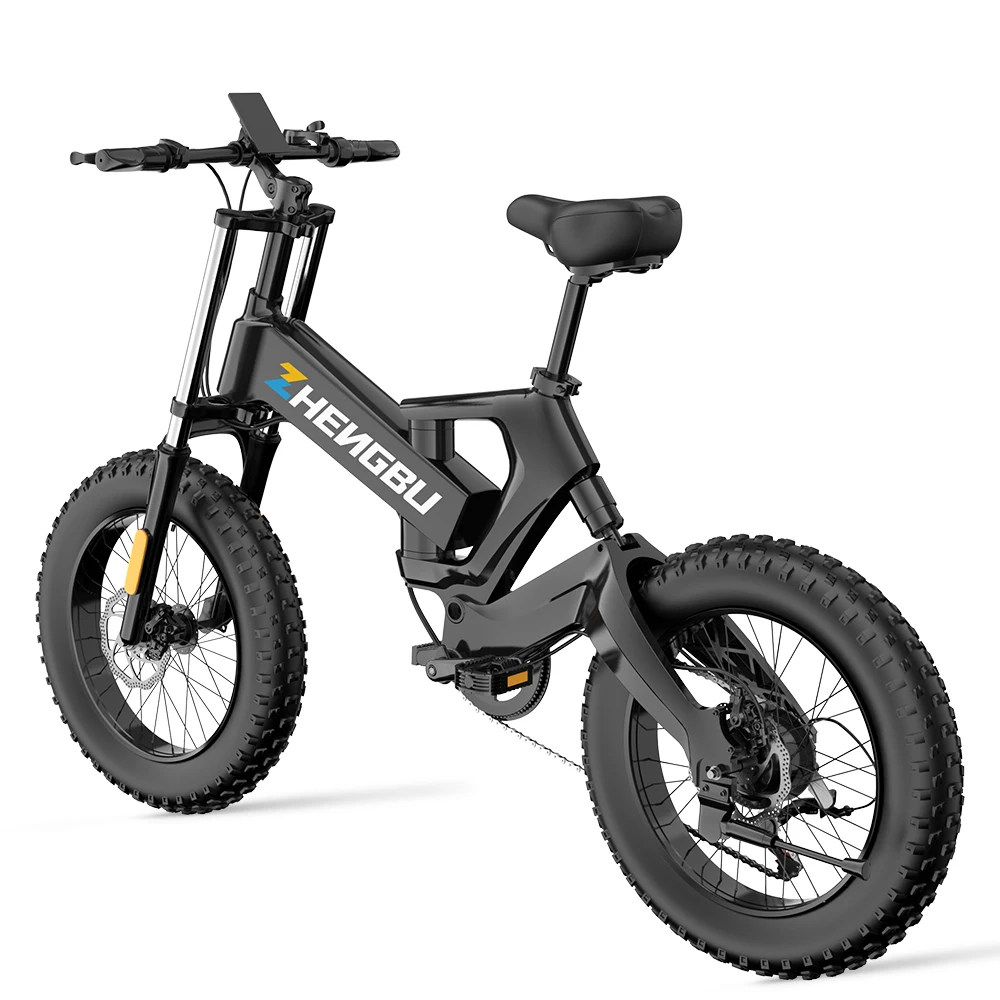 OEM 20 дюймов 500 Вт 750 1000 широкие шины дорожный складной электровелосипед Электрический велосипед полная
