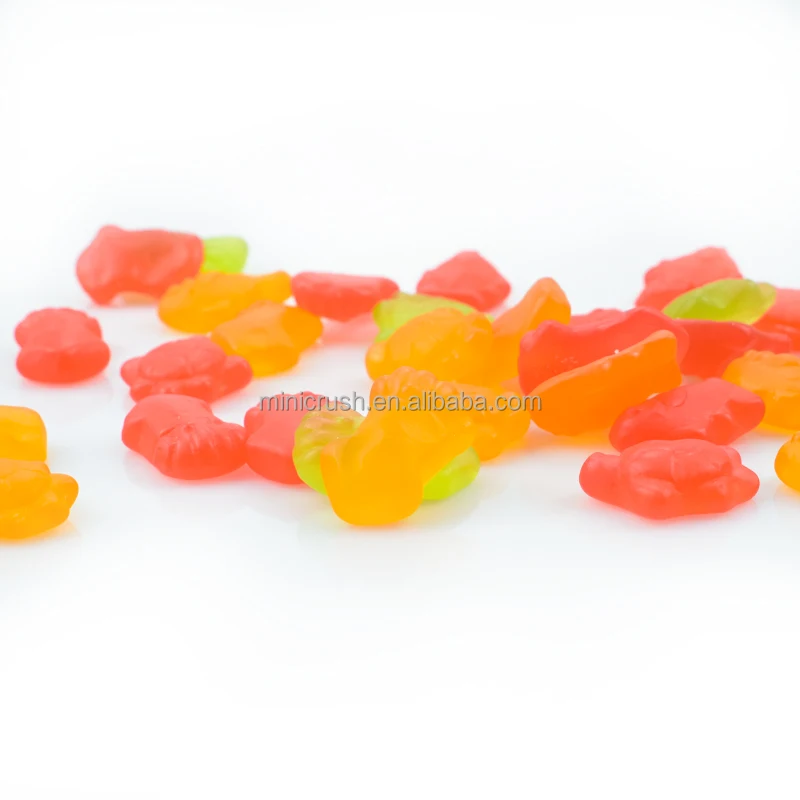 Fish Shape gummy candies manufacturers wholesale chewy candy fruit toy gummy candy