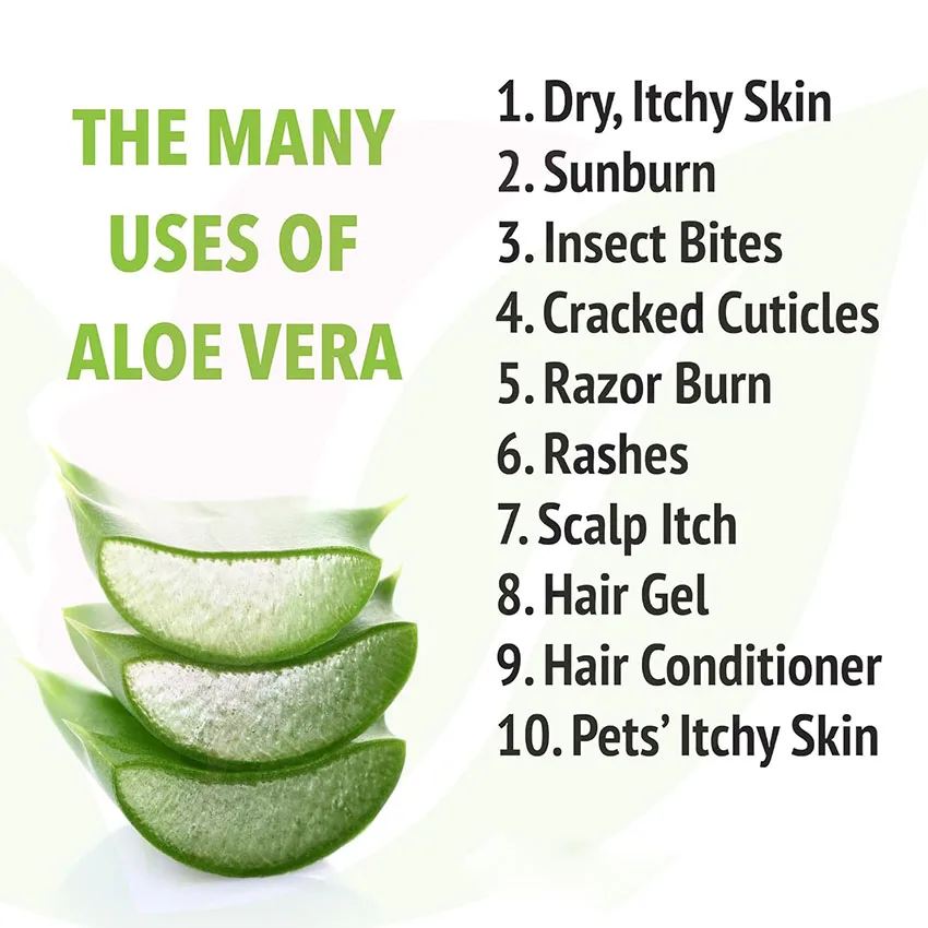 Wholesale Organic OEM Pure Aloe Vera Gel Face Skin Care All Skin Types Aloe Vera Moisturizer Soothing Cream Aloe Vera Gel