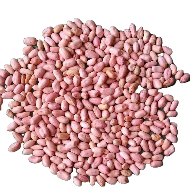 Chinese High Grade Raw Peanut Kernels Long and Round Shape