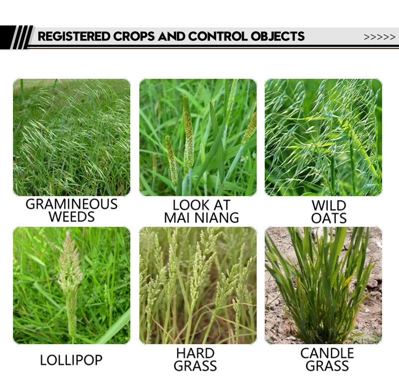 
15% clodinafop-methyl ME wheat field oats gramineous weed agricultural pesticide herbicide 