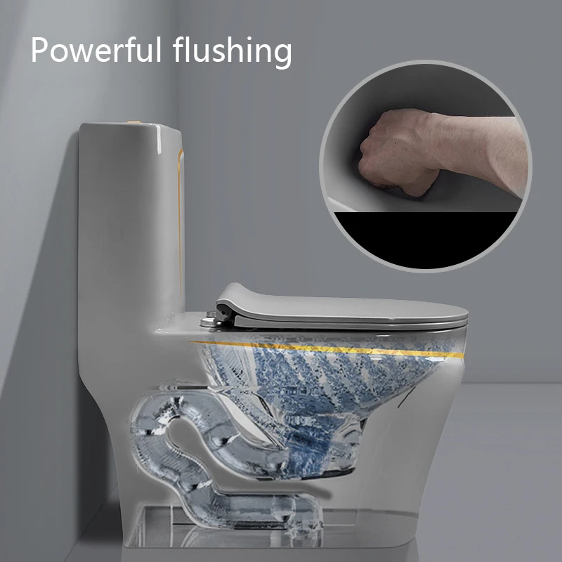 Ceramic Sanitary Ware WC Once Piece White And Gold Toilet With Integrated Sanitary Ware Toilet