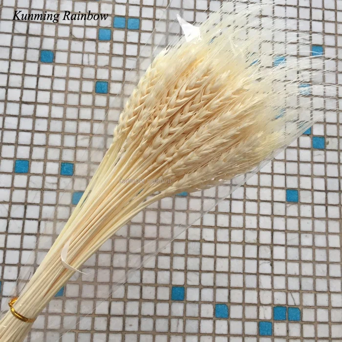 Hot Sale Home Decoration Natural Craft Dried Flowers Multi-colored Real Dried Flowers Wheat