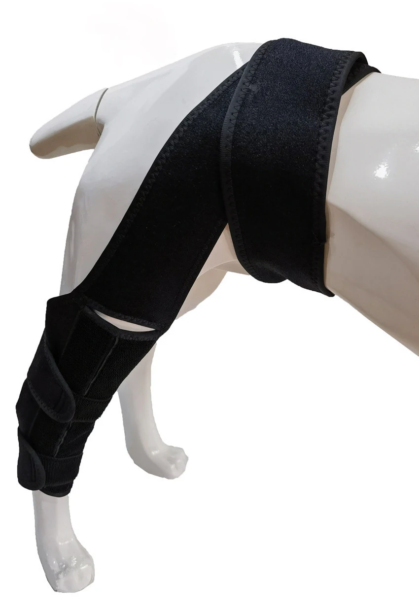Wholesale Pet Dog Prevent licking Neoprene Leg Knee Brace Support Protective cover for Hind Leg Injuries