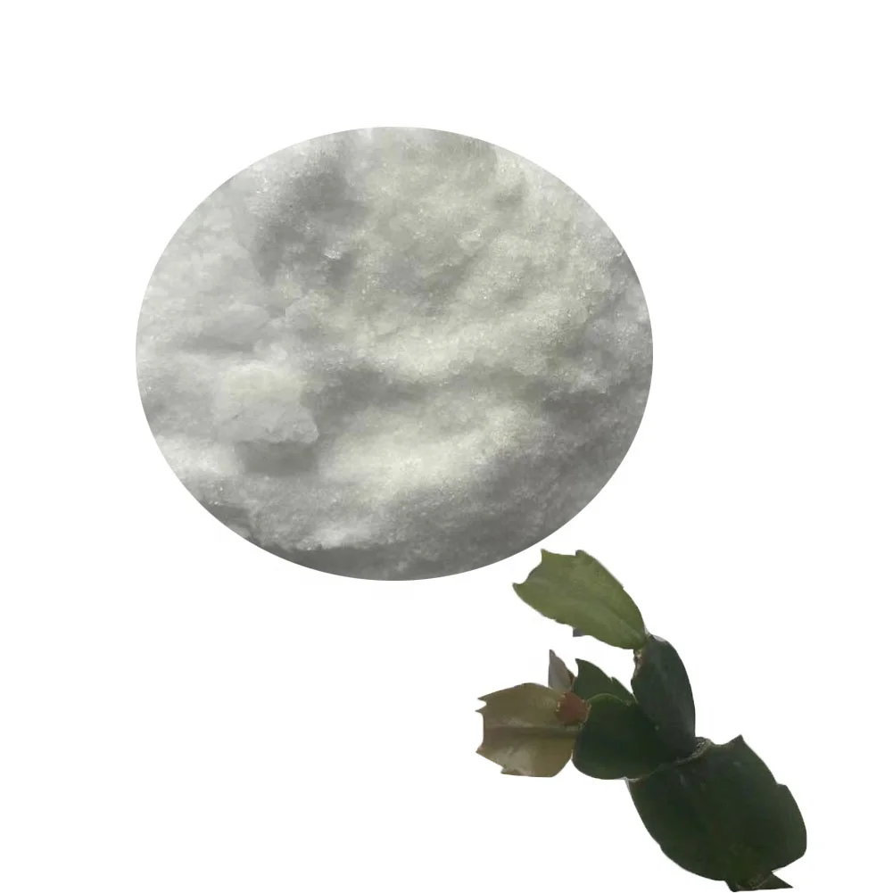 Factory supply  Caprolactam /Epsilon-Caprolactam cas no.105-60-2