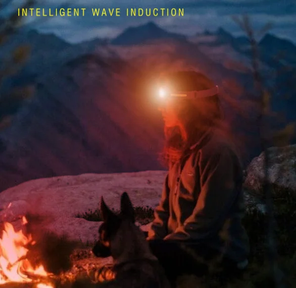 270 Degree Vision Illumination Outdoor Portable Adjustable COB Sensor Headlamp with 5 Modes Waterproof Ipx4 Inspection Headlamp