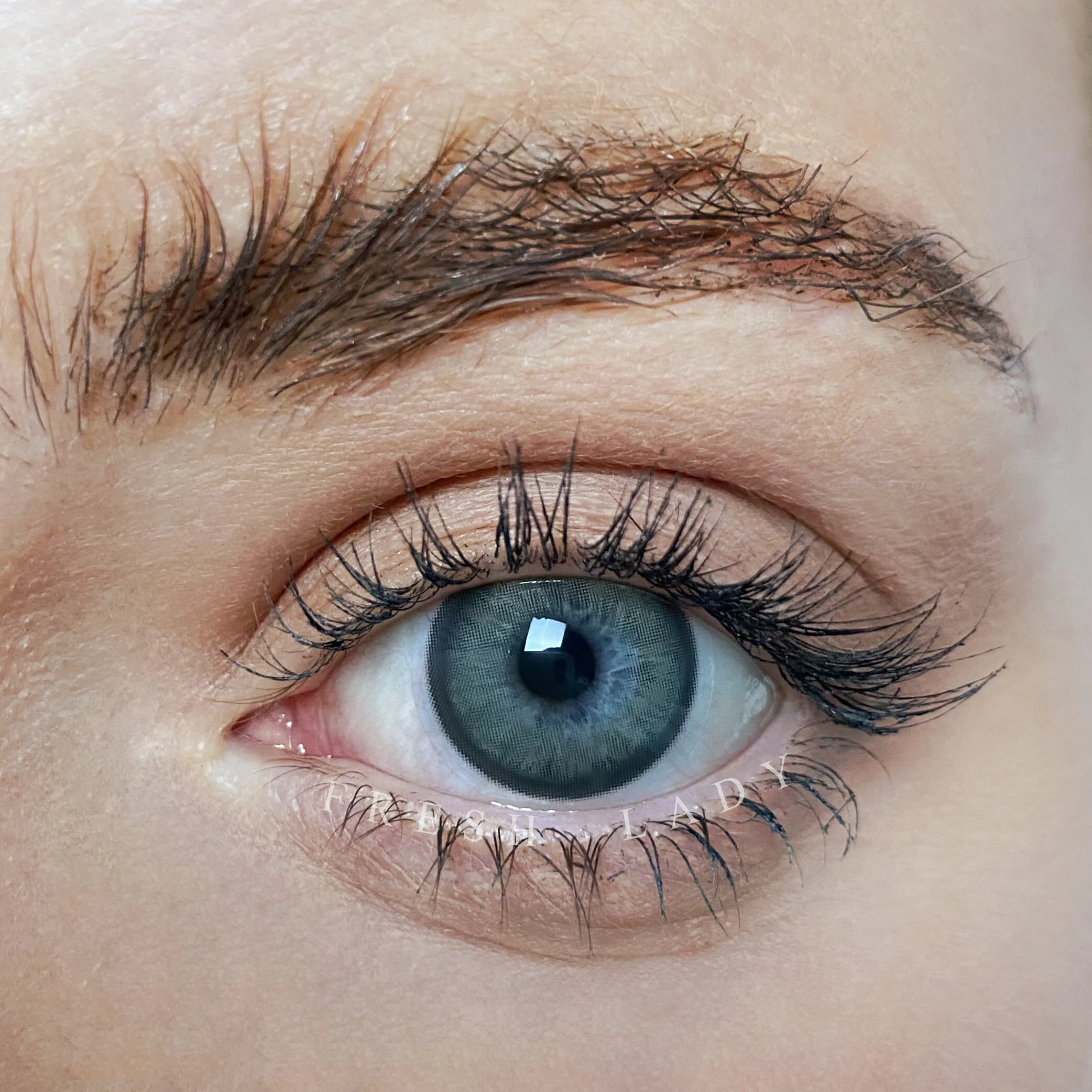 Fresh Lady Day Contact Cosmetic Colored Lens New Style Fashion Soft Contacts Brown Big Eyes Color Contact Lenses