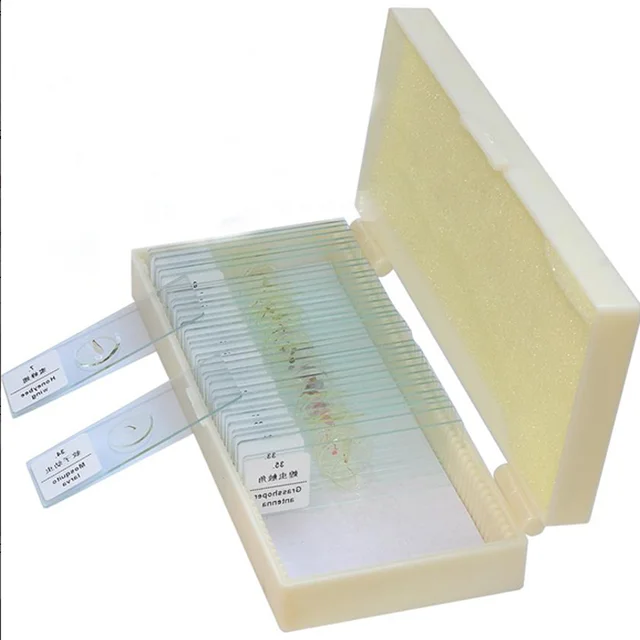  50pcs Middle School Education Used Prepared Glass Microscope Slides Set For Student Science