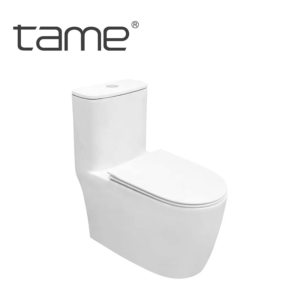 Современная сантехника TAME TM933, гостиничный шкаф с двойным смылом, унитаз, ванная комната, керамический Цельный унитаз