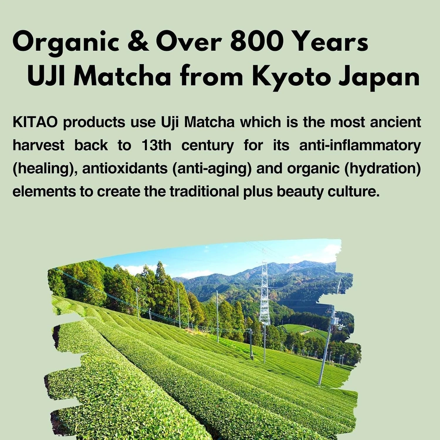 Kitao Japan Organic Uji Matcha Green Tea Facial Toner Refreshing Moisturizing Hydrating Face Body Toner Lotion For Women