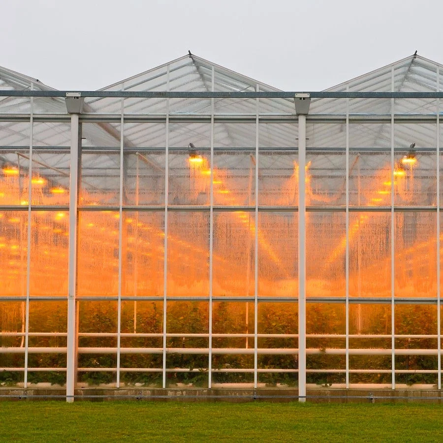 white power coated steel frame seedling polycarbonate covering aquaponics green house