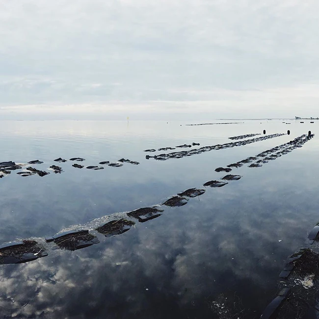  Высокое качество HDPE 12 мм плавающая устричная