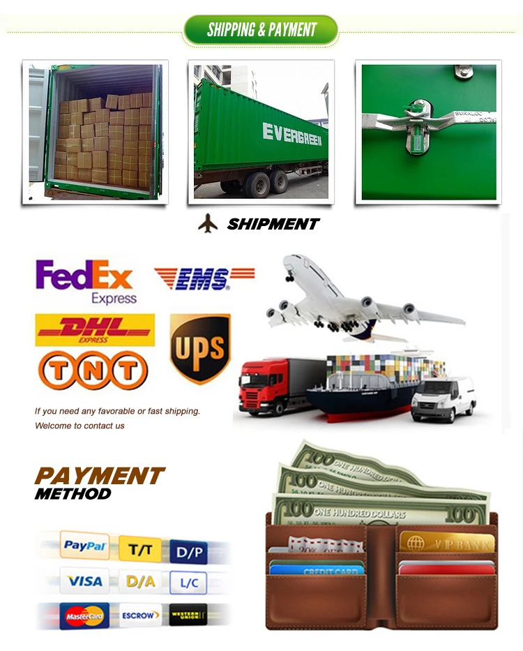 Shipping-&-Payment