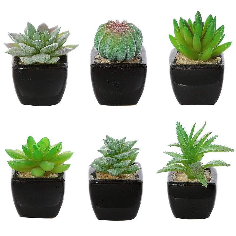 Mini Assorted Green Artificial Succulent Plants in Square White/Black Ceramic Potted