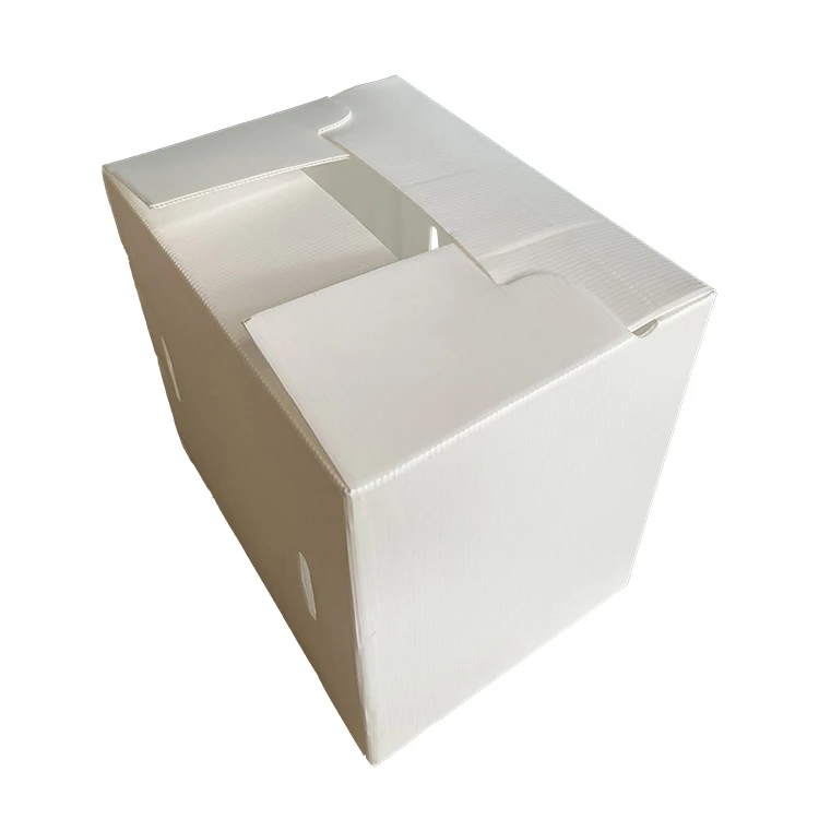 Wholesale Custom Logo Folding PP Material Packing Boxes Plastic Hollow Fruit Box