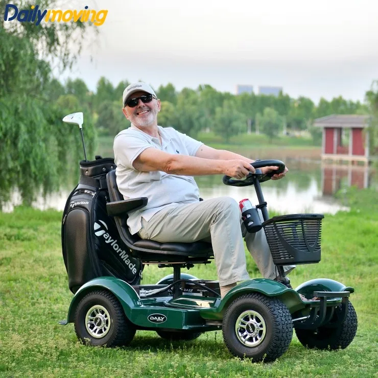 Single Seat CE Certified Electric Buggy Compact Portable with Electromagnetic Brake