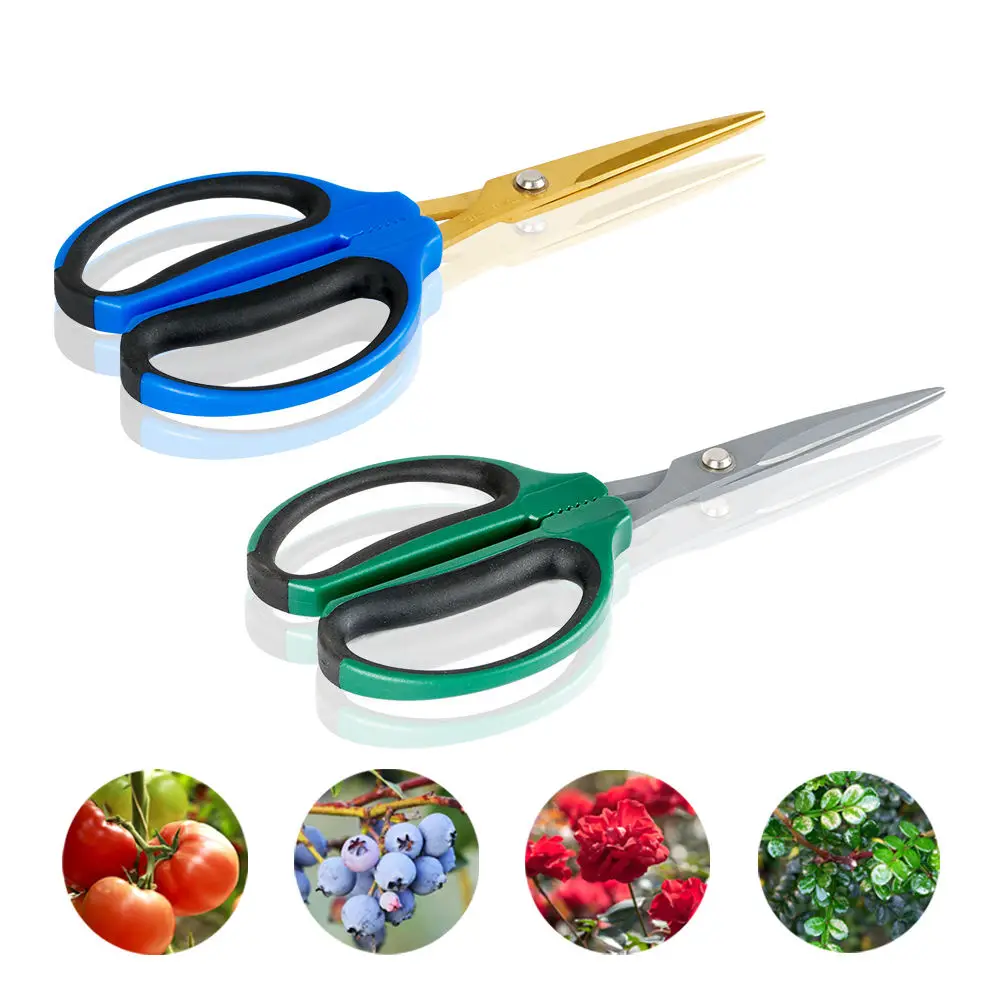 Hydroponic Small Stainless Steel  Plant Tools Orchard Grafting Trimming Garden Scissors kitchen scissors
