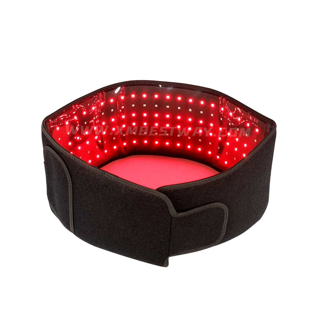 Professional Red Light Therapy Lipo Belt Physical Therapy for Fat Loss and Pain Relief